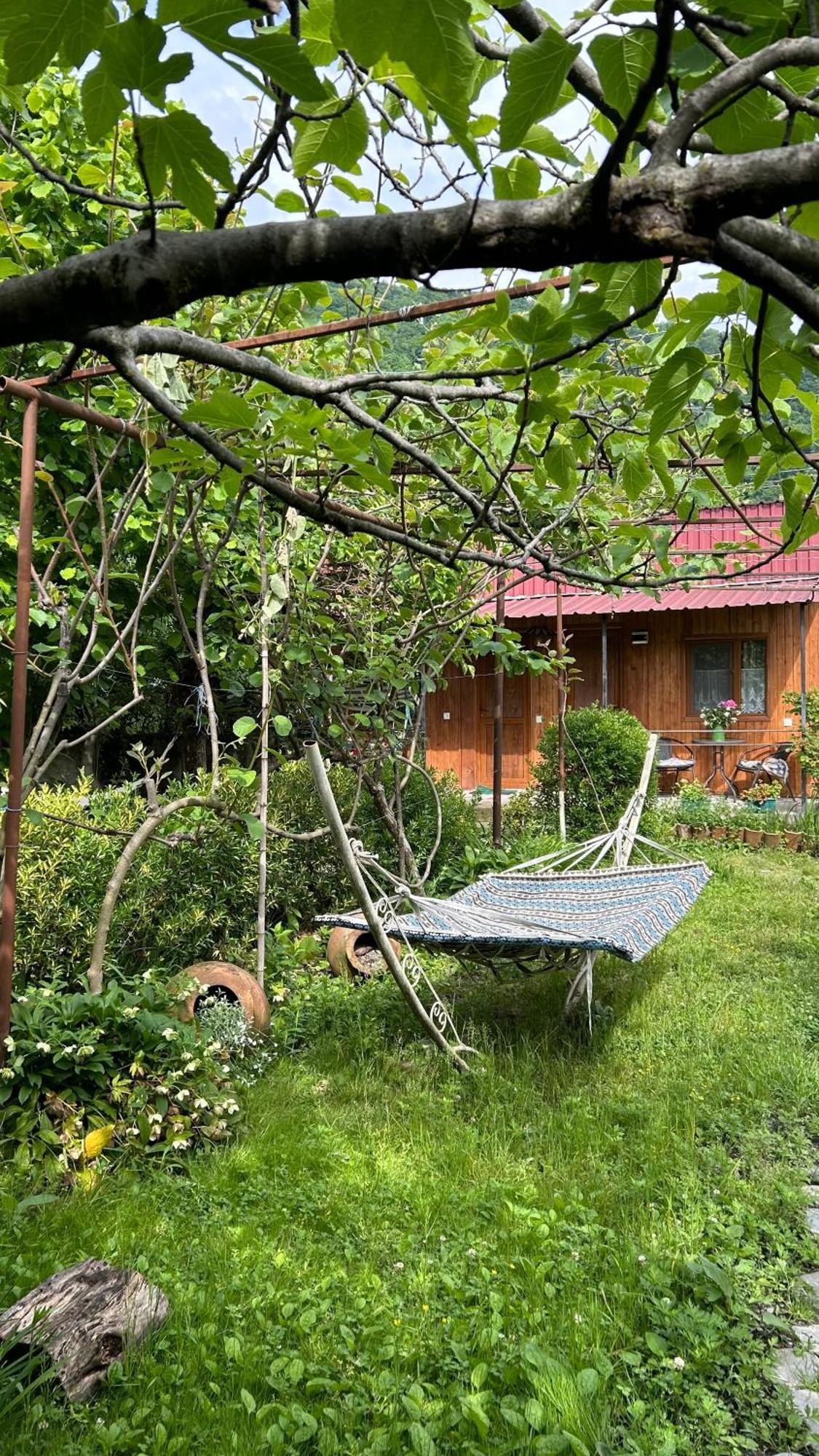 Ludwig Guesthouse Lagodeji Exterior foto