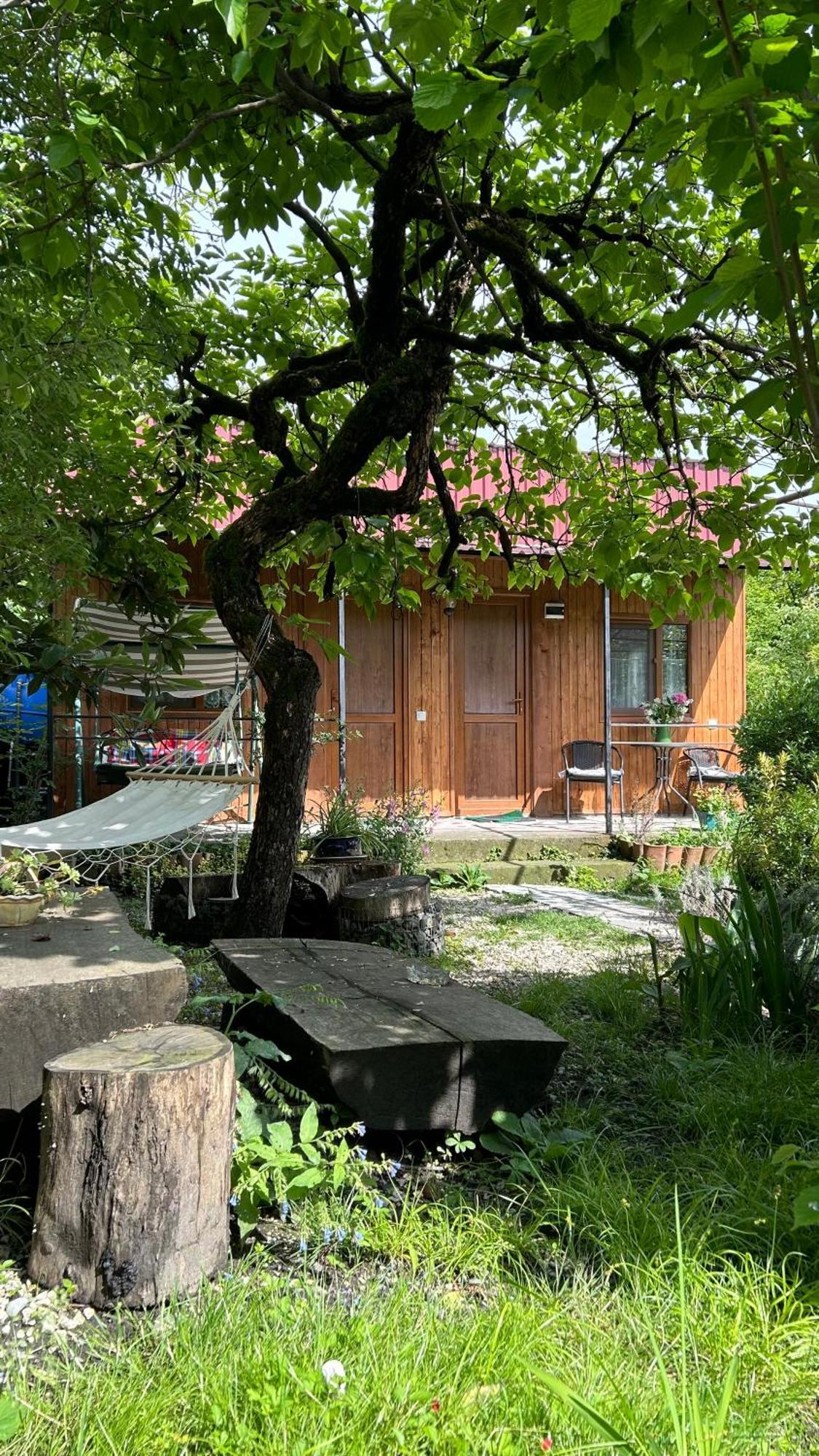 Ludwig Guesthouse Lagodeji Exterior foto