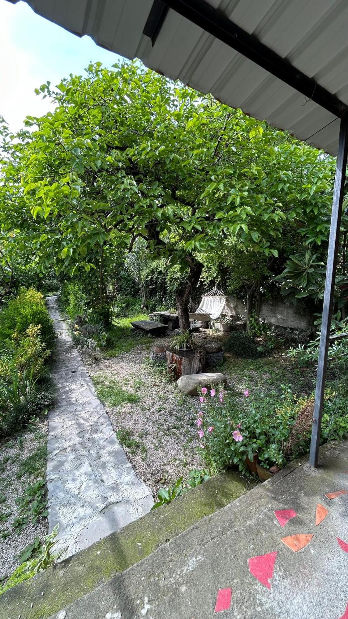 Ludwig Guesthouse Lagodeji Exterior foto