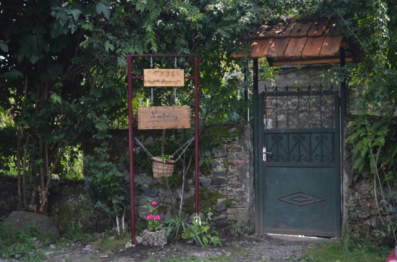 Ludwig Guesthouse Lagodeji Exterior foto
